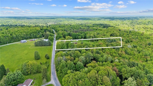 338 Dutch Hill Rd Unit 326, Parish, NY 13167 - view of property location featuring a forest and property parcel outlined
