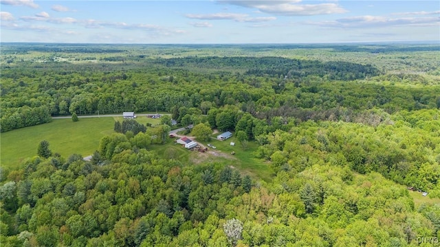 338 Dutch Hill Rd Unit 326, Parish, NY 13167 - aerial view of property's location with a forest