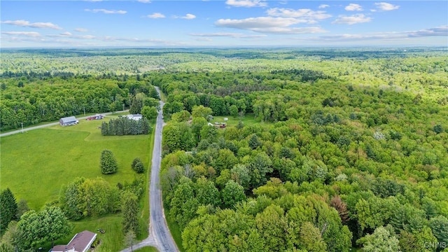 338 Dutch Hill Rd Unit 326, Parish, NY 13167 - bird's eye view of a forest