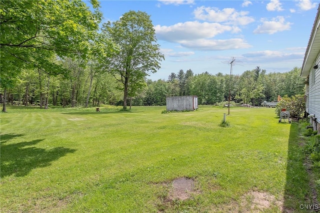 338 Dutch Hill Rd Unit 326, Parish, NY 13167 - view of green lawn