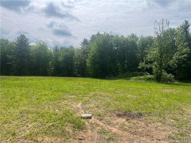 338 Dutch Hill Rd Unit 326, Parish, NY 13167 - view of yard featuring a wooded view