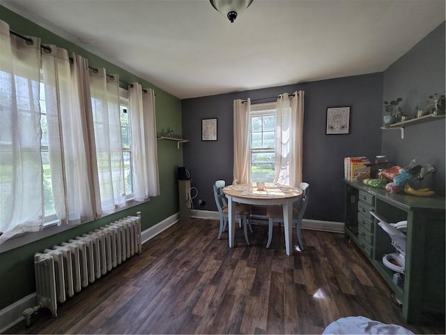 78 W Main St, Sidney, NY 13838 - dining space with radiator, dark wood-style floors, and baseboards