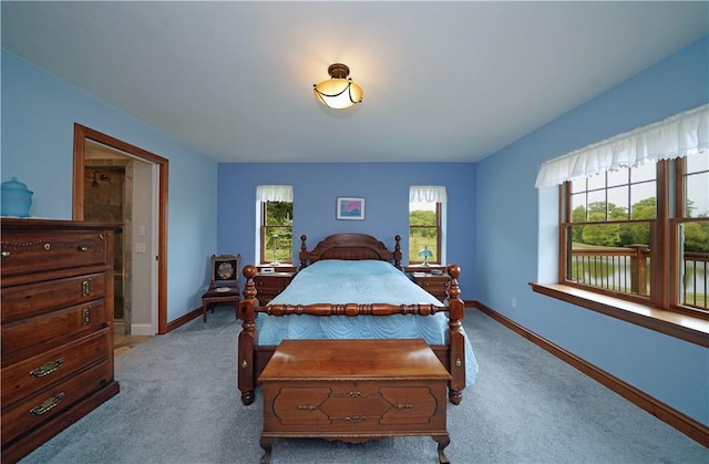9867 State Route 961f Rd, Burns, NY 14807 - bedroom with carpet floors and baseboards