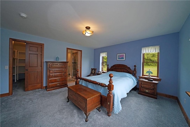 9867 State Route 961f Rd, Burns, NY 14807 - bedroom featuring carpet flooring, multiple windows, baseboards, and ensuite bathroom