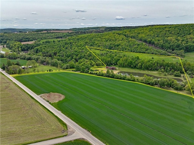9867 State Route 961f Rd, Burns, NY 14807 - aerial view of property's location with a nearby body of water, property parcel outlined, and a forest