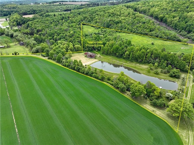 9867 State Route 961f Rd, Burns, NY 14807 - view of property location featuring a large body of water and property boundaries highlighted