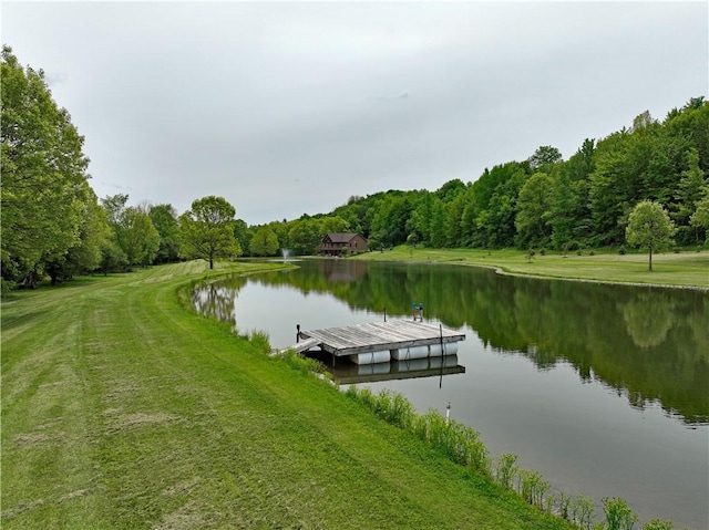 9867 State Route 961f Rd, Burns, NY 14807 - dock featuring a water view and a view of trees
