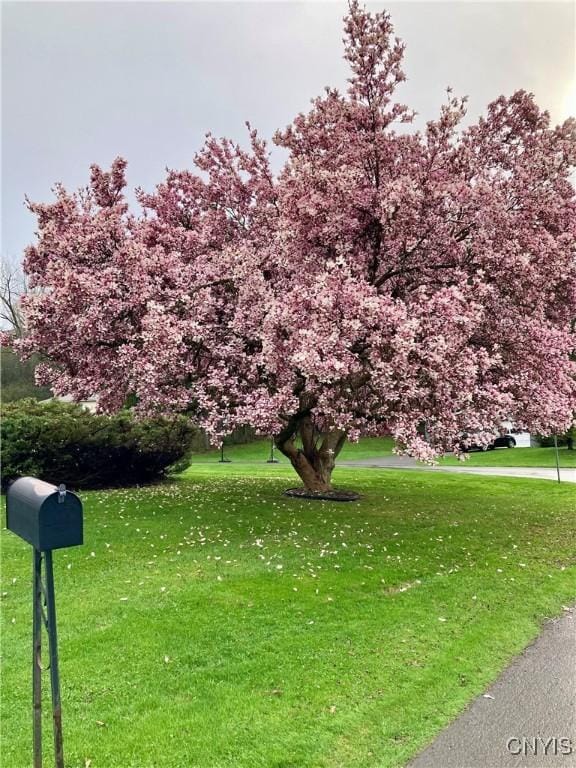107 Rosewell Mdw, Dewitt, NY 13214 - view of property's community with a lawn