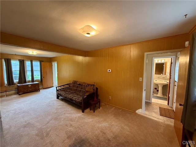 107 Rosewell Mdw, Dewitt, NY 13214 - bedroom featuring wood walls, a sink, and carpet floors