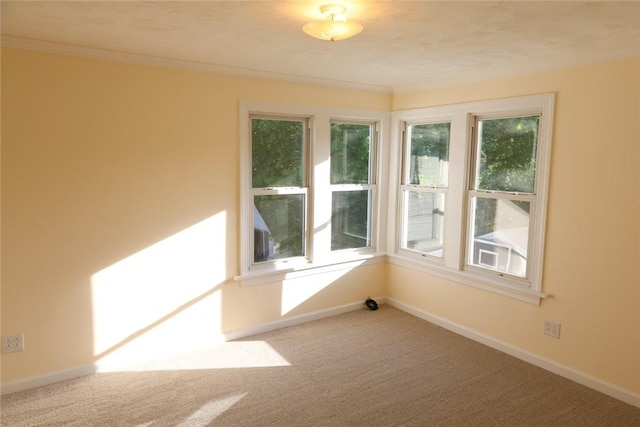 22 Nagel Pl, Geneva City, NY 14456 - photo 26