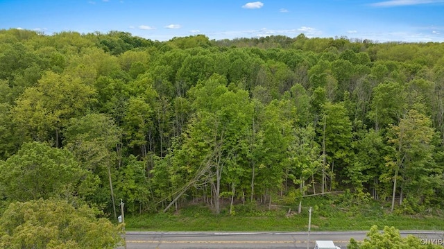State Route 38 Unit 38, Scipio, NY 13147