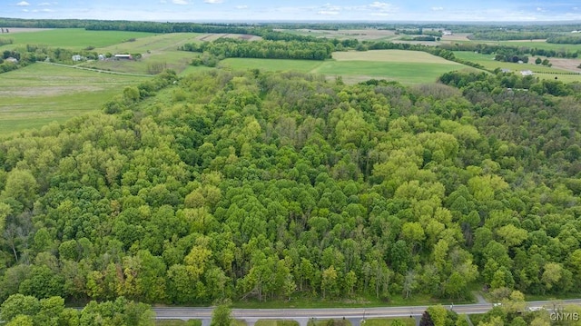 State Route 38 Unit 38, Scipio, NY 13147