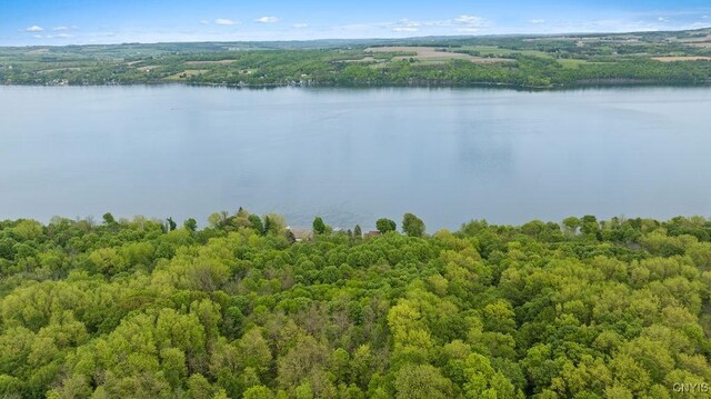 State Route 38 Unit 38, Scipio, NY 13147