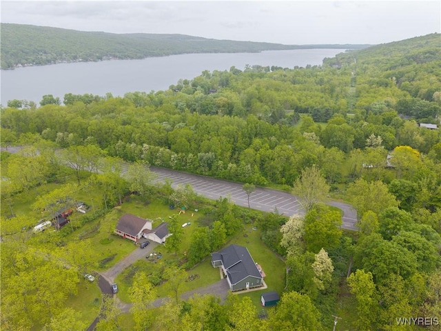 8484 Laura Ln, Richmond, NY 14471 - bird's eye view of a large body of water and a heavily wooded area