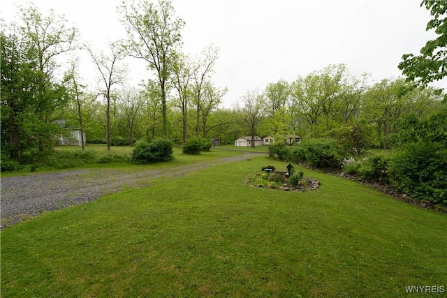 8484 Laura Ln, Richmond, NY 14471 - view of green lawn with gravel driveway