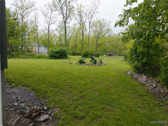 8484 Laura Ln, Richmond, NY 14471 - view of green lawn