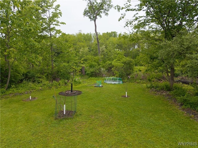 8484 Laura Ln, Richmond, NY 14471 - view of grassy yard