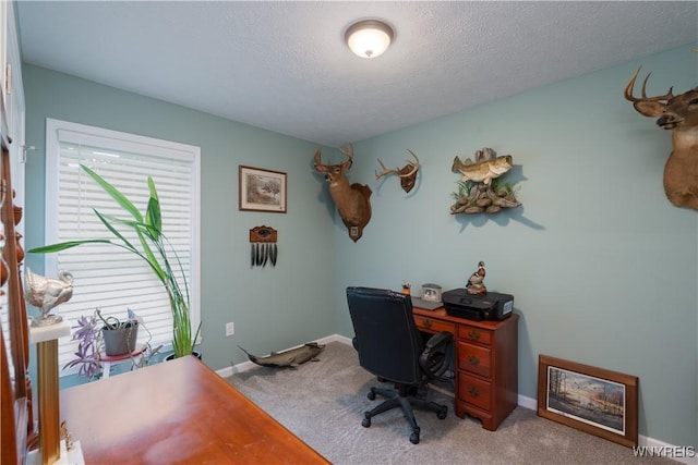 8484 Laura Ln, Richmond, NY 14471 - home office with carpet flooring and a textured ceiling