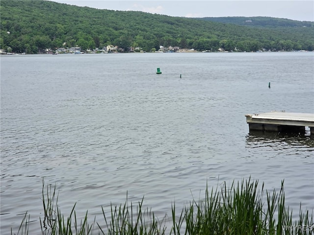 8484 Laura Ln, Richmond, NY 14471 - water view with a forest