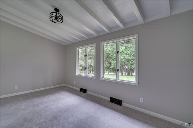 1444 Holcomb St, Watertown City, NY 13601 - photo 46