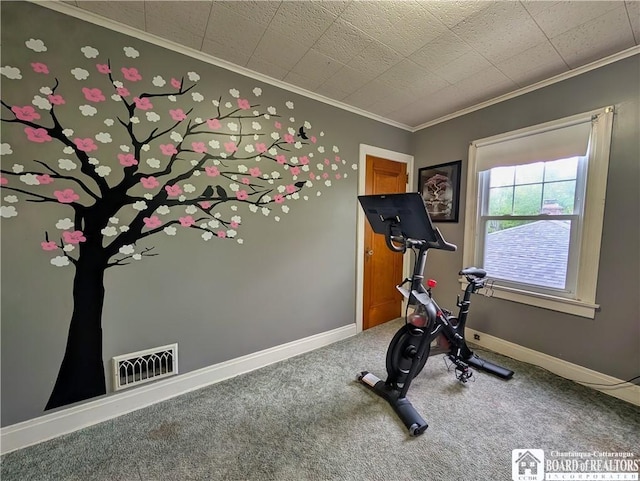 16 Ellis Ave, Jamestown, NY 14701 - workout area with ornamental molding, carpet, and baseboards