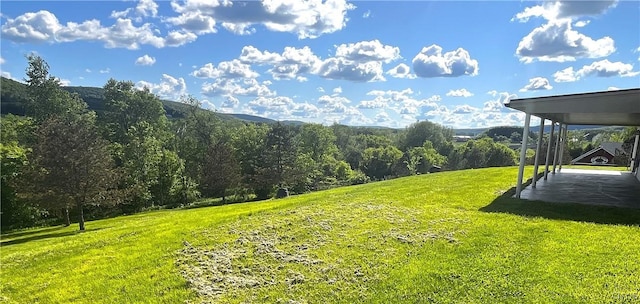7290 State Route 80, Fabius, NY 13063 - view of green lawn featuring a wooded view