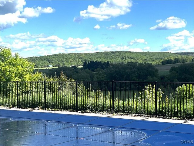7290 State Route 80, Fabius, NY 13063 - view of pool with a wooded view