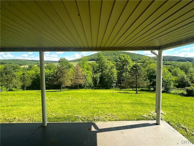 7290 State Route 80, Fabius, NY 13063 - view of green lawn with a patio