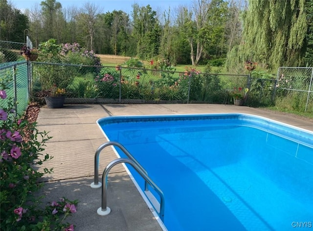 5549 State Route 104th Trl, Scriba, NY 13126 - view of swimming pool