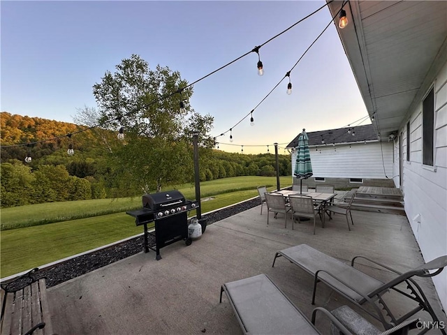 5030 Lincklaen Rd, Cuyler, NY 13158 - view of patio / terrace with outdoor dining area and grilling area