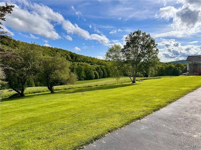 5030 Lincklaen Rd, Cuyler, NY 13158 - view of grassy yard featuring a wooded view