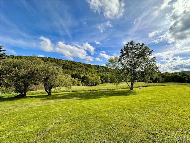 5030 Lincklaen Rd, Cuyler, NY 13158 - view of grassy yard with a wooded view