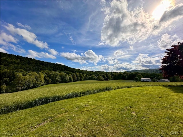 5030 Lincklaen Rd, Cuyler, NY 13158 - view of mountain background featuring a forest