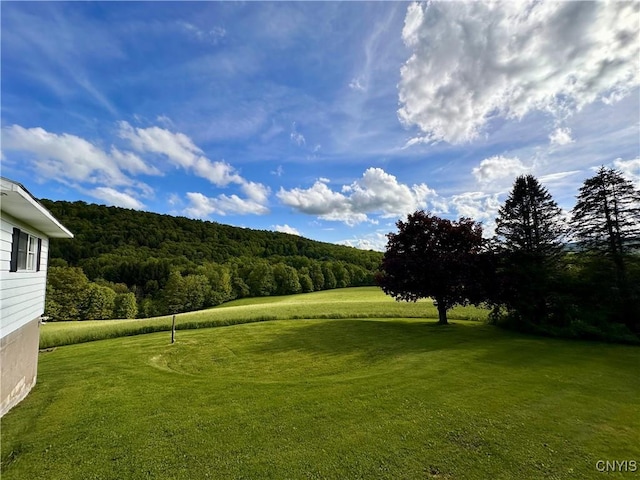 5030 Lincklaen Rd, Cuyler, NY 13158 - view of green lawn featuring a wooded view
