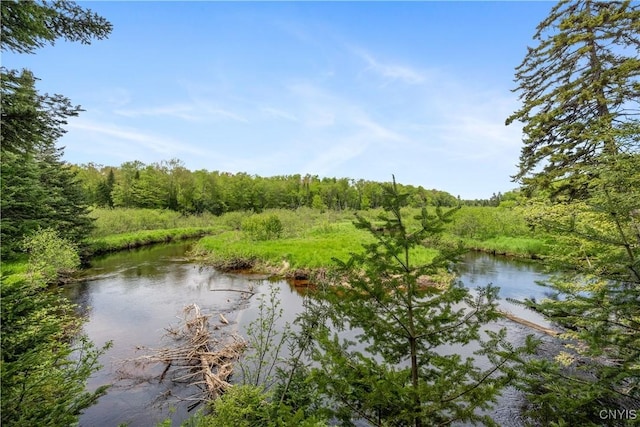 12103 Kincaid Rd, Forestport, NY 13338 - water view featuring a heavily wooded area