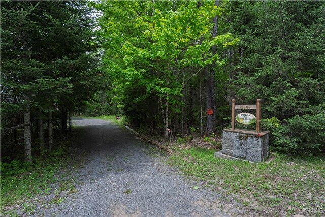 12103 Kincaid Rd, Forestport, NY 13338 - view of road with a forest view