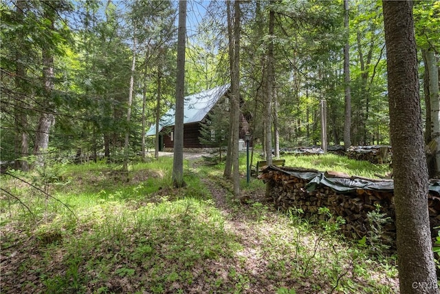 12103 Kincaid Rd, Forestport, NY 13338 - view of tree filled area