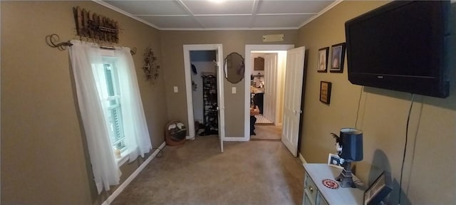 50 Church St, Moravia, NY 13118 - hallway with carpet flooring, ornamental molding, and baseboards