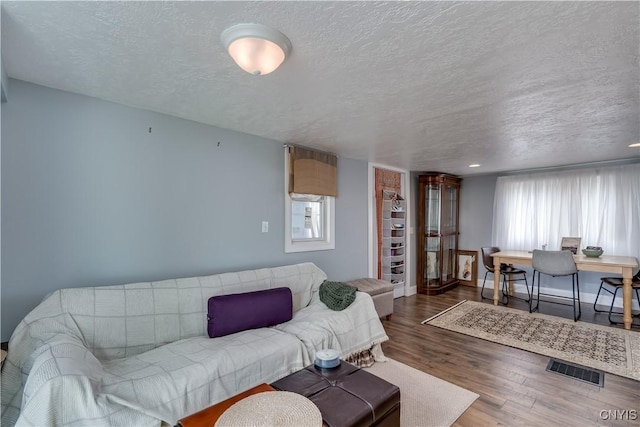 29580/584 Maple St Unit 584, Le Ray, NY 13612 - living room featuring a textured ceiling, wood finished floors, and baseboards