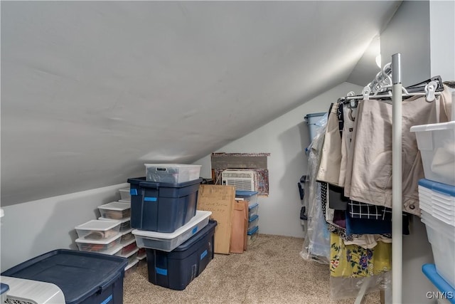 29580/584 Maple St Unit 584, Le Ray, NY 13612 - spacious closet featuring lofted ceiling and carpet