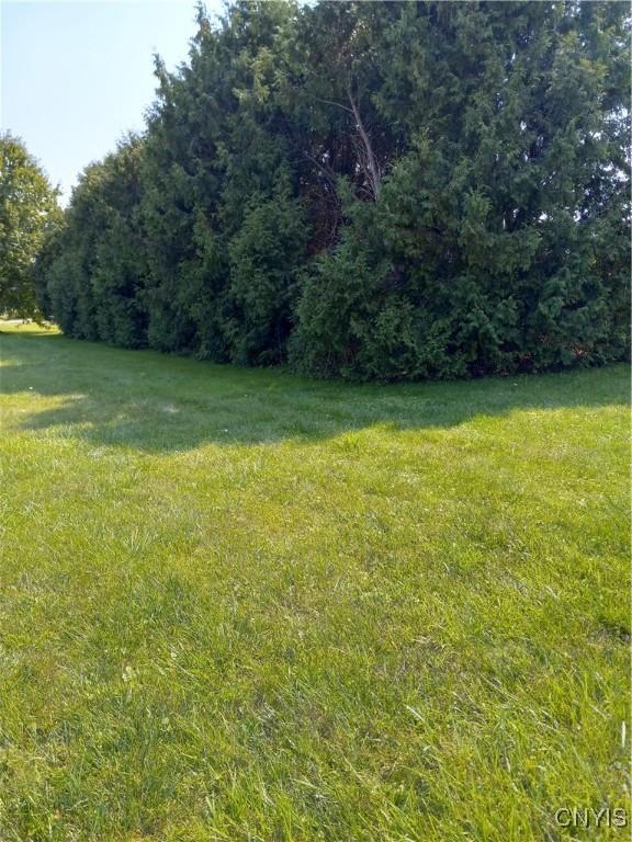 1610 N George St, Rome, NY 13440 - photo 50