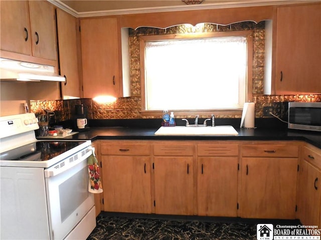 123 N Dow St, Ellicott, NY 14733 - kitchen with white range with electric cooktop, stainless steel microwave, a sink, under cabinet range hood, and dark countertops