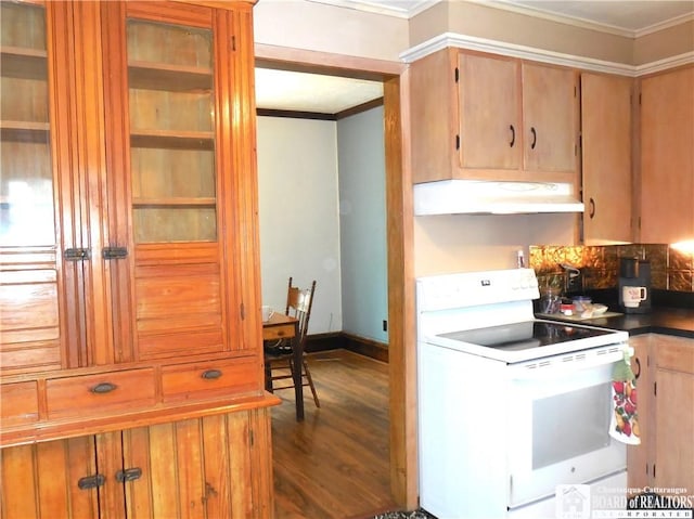 123 N Dow St, Ellicott, NY 14733 - kitchen with white electric range oven, under cabinet range hood, ornamental molding, dark wood finished floors, and baseboards