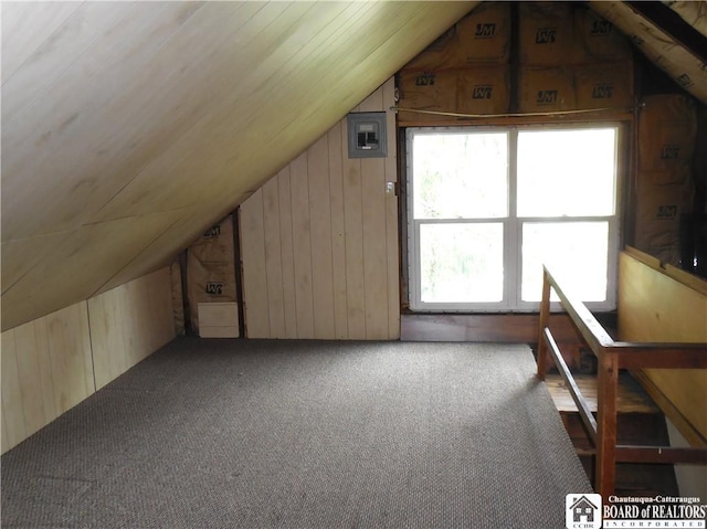 123 N Dow St, Ellicott, NY 14733 - additional living space with lofted ceiling, wood walls, and carpet flooring