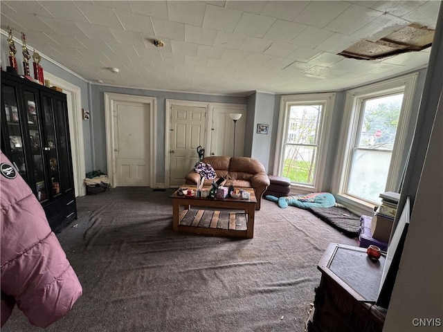 403 Coffeen St, Watertown-City, NY 13601 - carpeted living room featuring plenty of natural light
