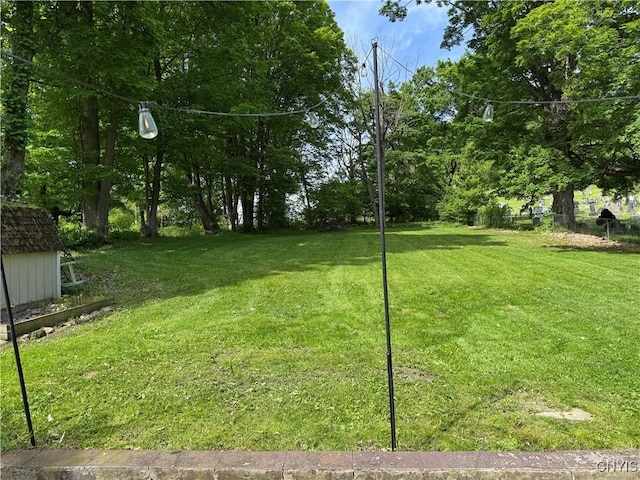 58 S Hamilton St, Elbridge, NY 13080 - view of grassy yard
