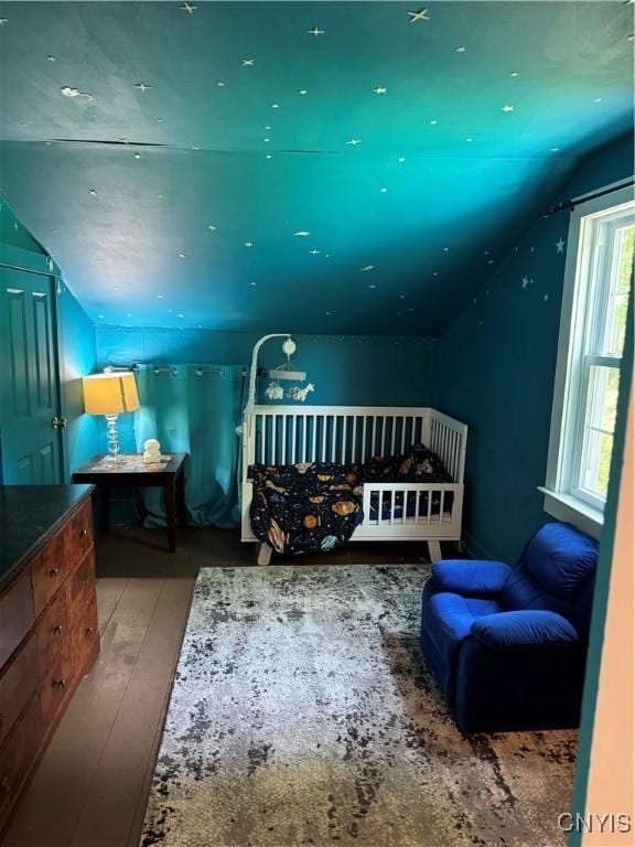 58 S Hamilton St, Elbridge, NY 13080 - bedroom featuring lofted ceiling and wood finished floors