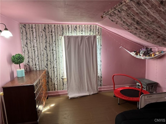 58 S Hamilton St, Elbridge, NY 13080 - bedroom featuring hardwood / wood-style floors and vaulted ceiling