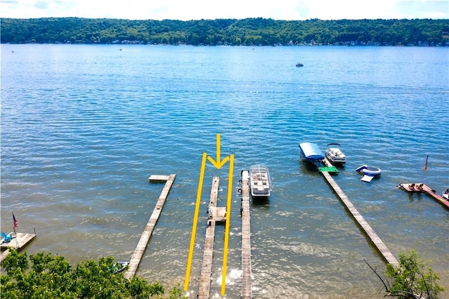 5545 E Lake Rd, Conesus, NY 14435 - dock area featuring a water view