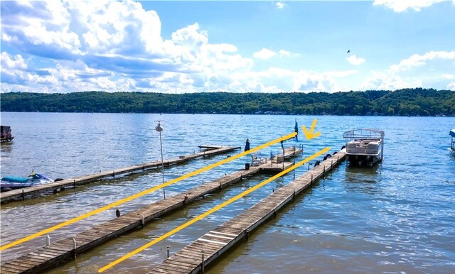5545 E Lake Rd, Conesus, NY 14435 - dock with a forest view and a water view